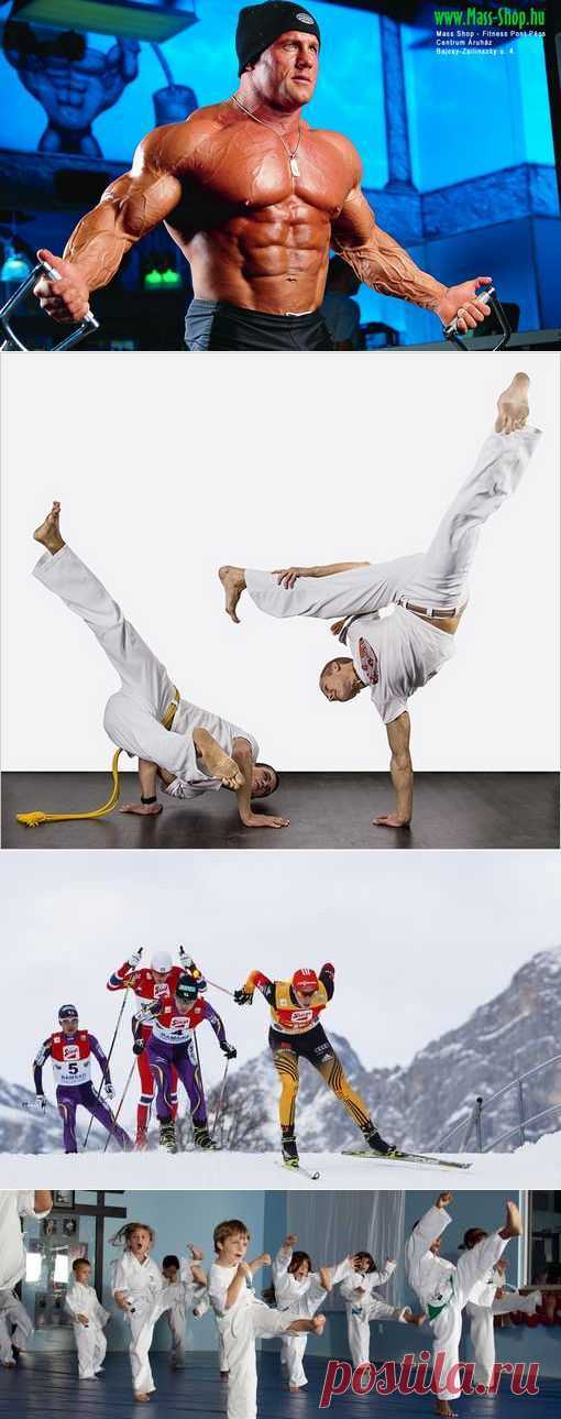 Формула 1, Бодибилдинг, Плавание, Туризм спортивный, Конькобежный спорт. (1/1) - Спортивный форум. - Спортивный сайт