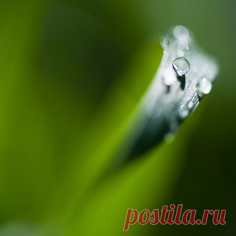 Фотопост: первый день лета | Selfhacker.ru