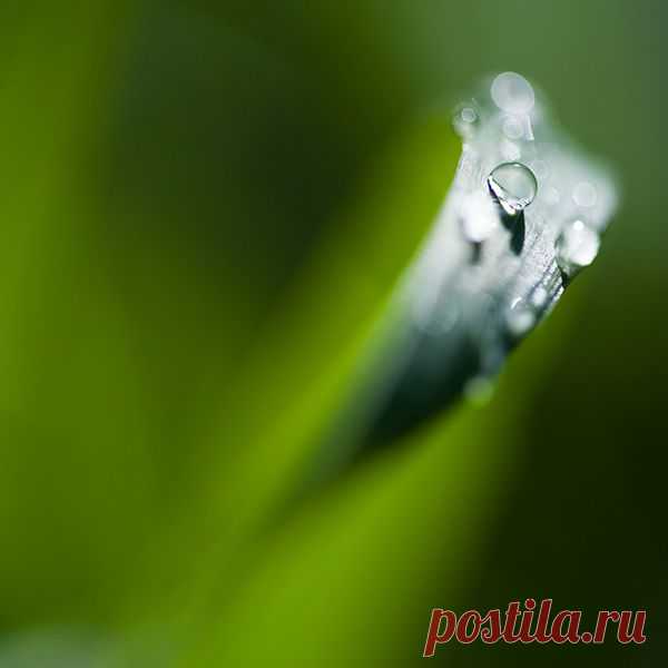 Фотопост: первый день лета | Selfhacker.ru