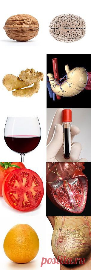 Продукты и части тела
