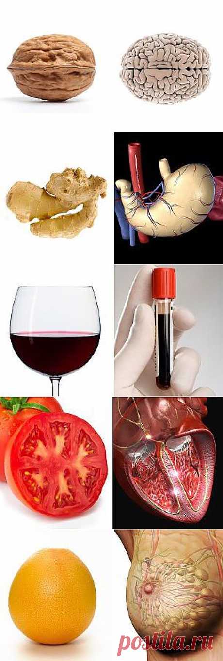Продукты и части тела