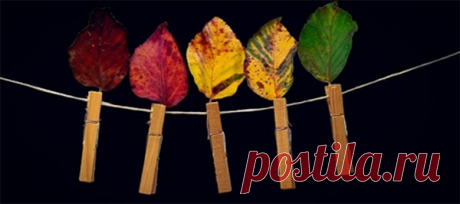 Психологи доказали: 5 причин носить яркие цвета. Вам случалось оказаться туманным осенним утром в толпе таких же еле бредущих на работу людей? Как впечатления? Удручает, конечно. Но дело не в утре, не в опоздании, не в плохом настроении, а в том, что все действительно ходят в темном. Раньше мне казалось: как так, ведь вокруг так много красок? Но стоит присмотреться только! Темные...