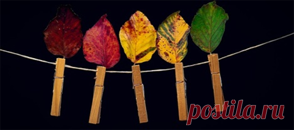 Психологи доказали: 5 причин носить яркие цвета. Вам случалось оказаться туманным осенним утром в толпе таких же еле бредущих на работу людей? Как впечатления? Удручает, конечно. Но дело не в утре, не в опоздании, не в плохом настроении, а в том, что все действительно ходят в темном. Раньше мне казалось: как так, ведь вокруг так много красок? Но стоит присмотреться только! Темные...