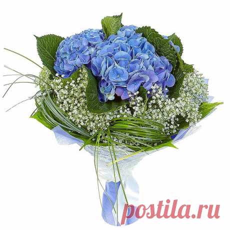 Букет