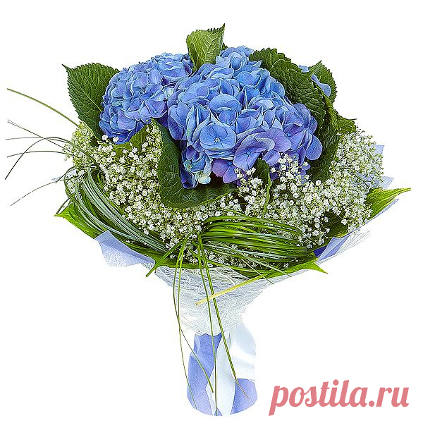 Букет