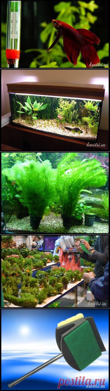 Оборудование для аквариума