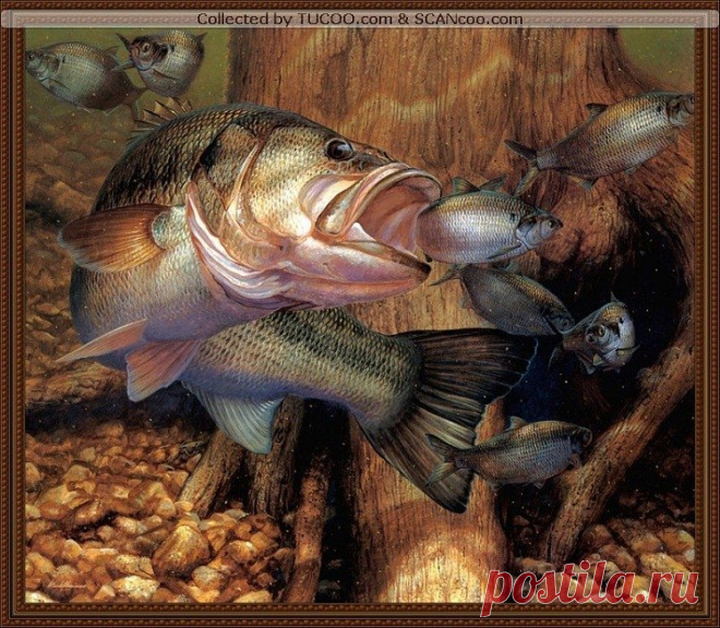 Редактировать описание