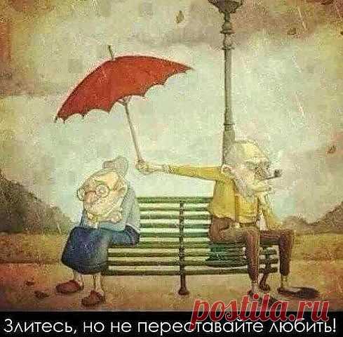 (1) Одноклассники