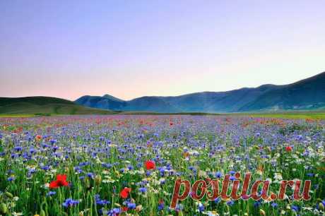 Google+