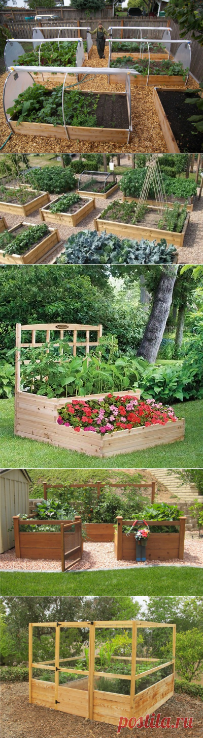 Идеи оформления грядок-коробов — 6 соток