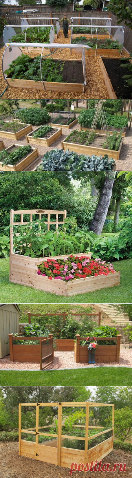 Идеи оформления грядок-коробов — 6 соток