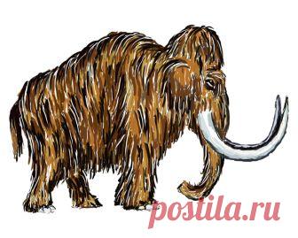 Можно ли возродить мамонта? | Вопрос-ответ | Вокруг Света