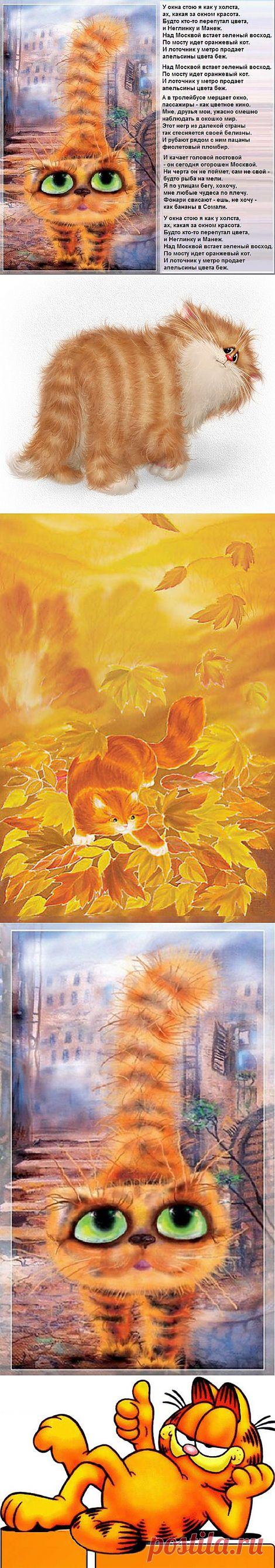 Оранжевый кот / Л. Филатов, В. Качан.