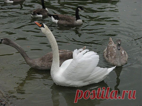 Мой Мир@Mail.Ru