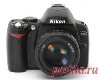 Обзор Nikon D40 | Радожива