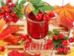 Чай из шиповника с медом