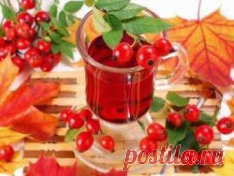 Чай из шиповника с медом