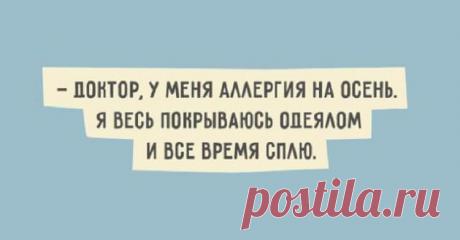 17+ убойных картинок с юмором о жизни