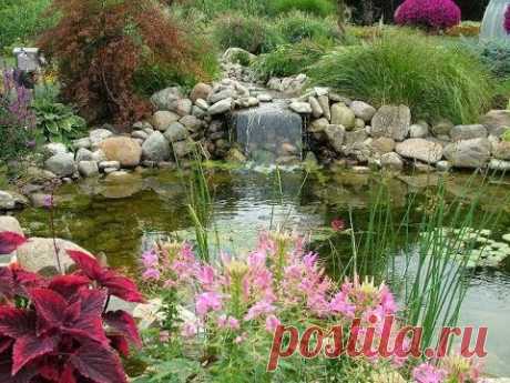 Планировка альпинария 30 удивительных примера! - YouTube