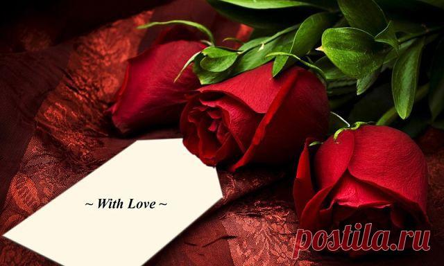 Любовь Тарасова
54 года, Россия, Москва