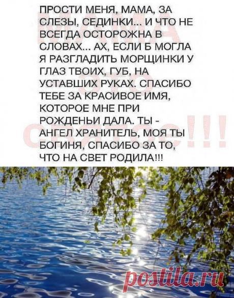 Прости меня мама