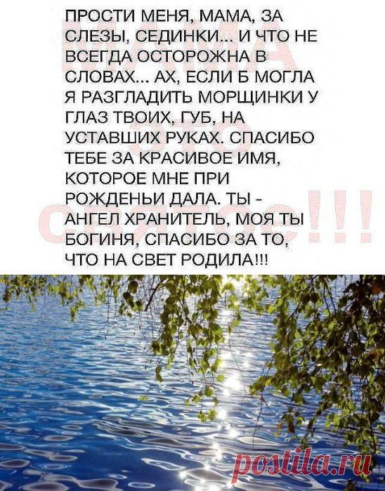 Прости меня мама
