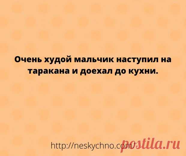 (16) Лучшее начало дня: анекдоты для хорошего настроения - Сказка для двоих - медиаплатформа МирТесен