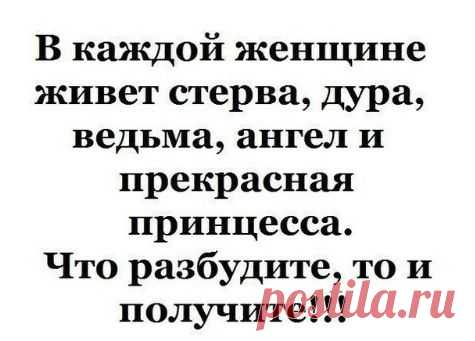 Каждый выбирает для себя
Женщину, религию, дорогу.
Дьяволу служить или пророку -
Каждый выбирает для себя.

Каждый выбирает по себе
Шпагу для дуэли, меч для битвы.
Слово для любви и для молитвы
Каждый выбирает по себе.

Каждый выбирает по себе
Щит и латы, посох и заплаты.
Меру окончательной расплаты
Каждый выбирает по себе.

Каждый выбирает для себя
Выбираю тоже как умею
Ни к кому претензий не имею
Каждый выбирает для себя

Ю.Левитанский