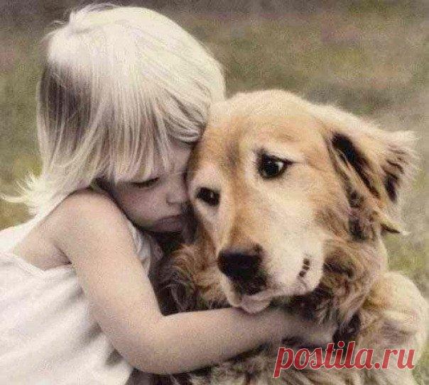 Как вырастить невротика. 50 эффективных шагов