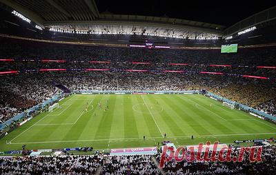 В ФИФА объяснили расхождения в количестве зрителей на стадионах чемпионата мира в Катаре. На матчах Катар - Эквадор, Сенегал - Нидерланды и Англия - Иран присутствовало больше зрителей, чем официально вмещают арены