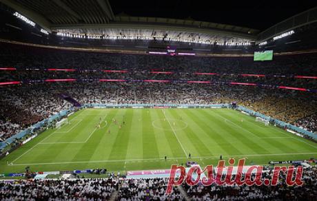 В ФИФА объяснили расхождения в количестве зрителей на стадионах чемпионата мира в Катаре. На матчах Катар - Эквадор, Сенегал - Нидерланды и Англия - Иран присутствовало больше зрителей, чем официально вмещают арены