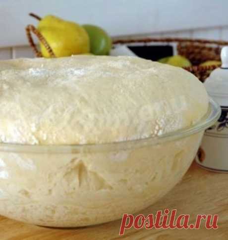 Быстрое тесто для пирогов и плюшек рецепт с фото пошагово - 1000.menu