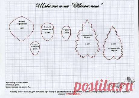 Мастер класс &quot;Меконопсис&quot; — Яндекс.Диск