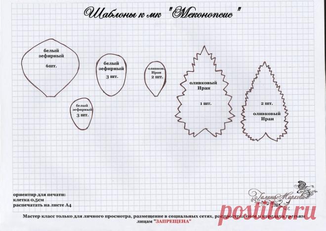 Мастер класс 