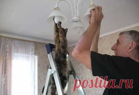 ПОДСОБНЫЙ РАБОТНИК ...