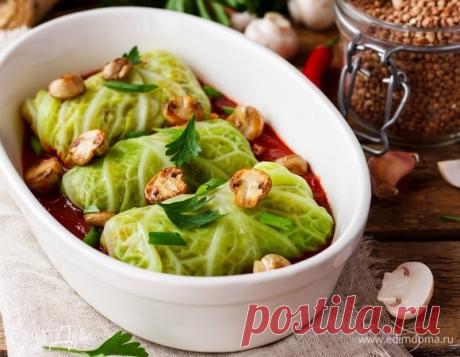 Как готовить голубцы: рецепт приготовления