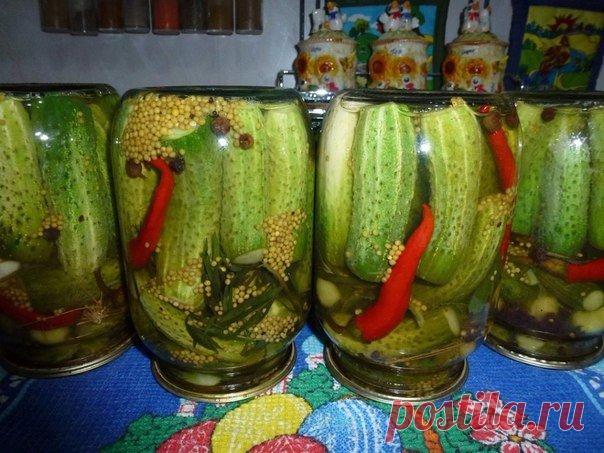 Маринованные огурцы с семенами горчицы от Светланы Вакула (Сусанина) 

Огурцы помыть отрезать кончики и залить на пару часов водой.Подготовить пряности зонтики укропа,листья хрена,листья смородины,​веточки тархуна,зубчики чеснока.Заполнить банки с огурцами,положить зубчики чеснока,один сладкий перчик,десертную ложку горчицы,душистый перец горошком,веточку укропа,веточку тархуна,лист смородины,лист хрена.Залить кипятком,дать постоять 10 минут,слить.Маринад: на 3 литра воды ...