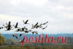 Сегодня 27 сентября отмечается 
