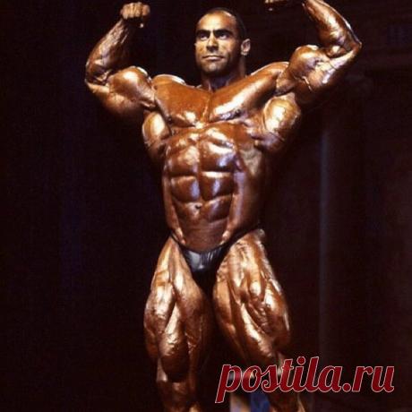 Нассер Эль Сонбати. Бодибилдер-учёный. Тренировался по науке, но здоровье сохранить не удалось.
Нассер Эль Сонбати один из лучших бодибилдеров 90-ых. Он хотел стать чемпионом мирового уровня. Однако для этого нужно было сильно постараться и многим пожертвовать. Эль Сонбати изучал социологию и историю.... Read more »
Читай пост далее на сайте. Жми ⏫ссылку выше