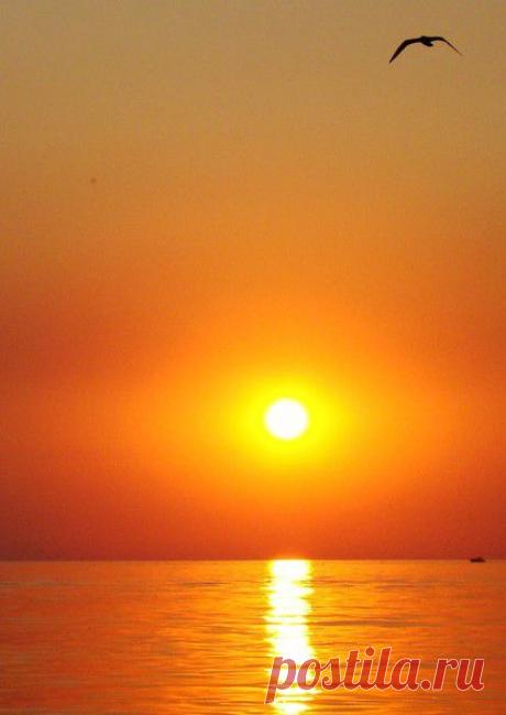 ЧТОБЫ ДЕЙСТВИТЕЛЬНО ПРОСТИТЬ...НАЧНИТЕ С ПОКАЯНИЯ...