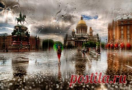 (5) Одноклассники