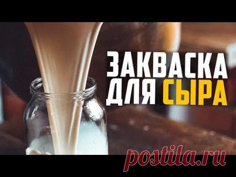 Закваска для сыра своими руками