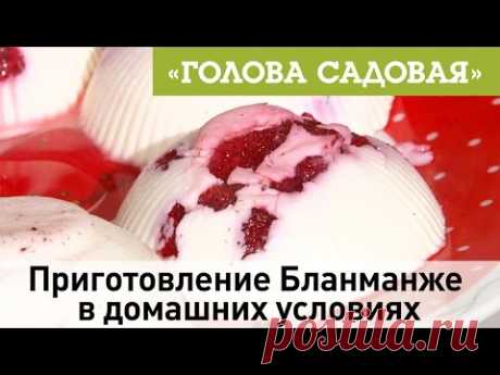 Голова садовая - Приготовление Бланманже в домашних условиях