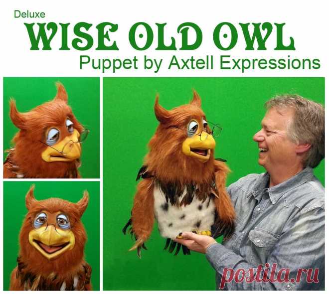 Wise Owl Puppet | Axtell Expressions WISE OLD OWL - This Deluxe Wise Old Owl Puppet has a wonderfully decorated latex head and cute bird feet. He measures 28