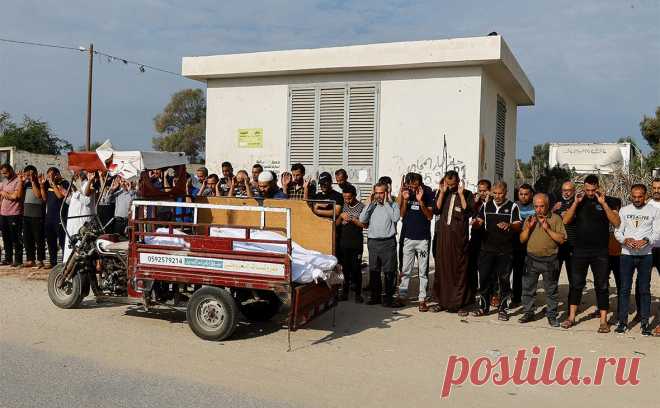 Посол Израиля ответил на данные ООН о гибели женщин и детей в Газе. Посол Израиля Александр Бен Цви не согласился с данными агентства ООН, что 70% погибших в секторе Газа — женщины и дети, отметив, что это оценки ХАМАС. По данным БАПОР, за три недели в Газе погибли 3,2 тыс. детей