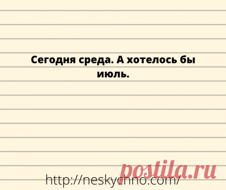 20+ житейских анекдотов для хорошего настроения – Нескучно