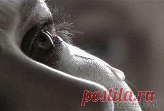 Б Е Д А (25 марта 2018) Было ль когда-то начало,Знают ли где и когда?Вот она нас и догнала Страшная эта беда.Ветки, по локоть облезлыеК небу подняли персты...Что ж вы завыли, болезные,Ветром отчаянья в стынь?!Мечутся малые в...