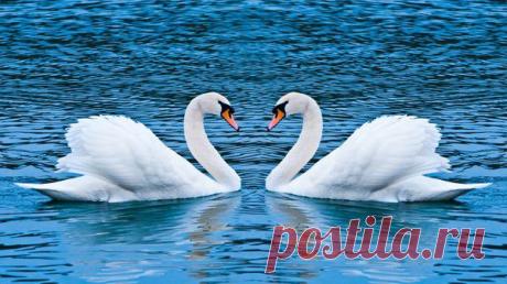 Мой Мир@Mail.Ru