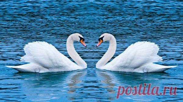 Мой Мир@Mail.Ru