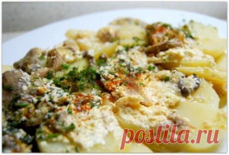 Вёшенки с чесноком и сметаной